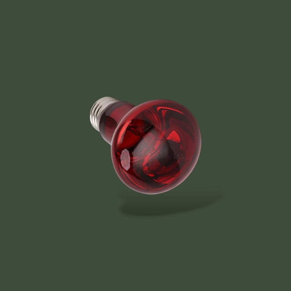 Ampoule Rouge Céramique pour Reptile Terranys