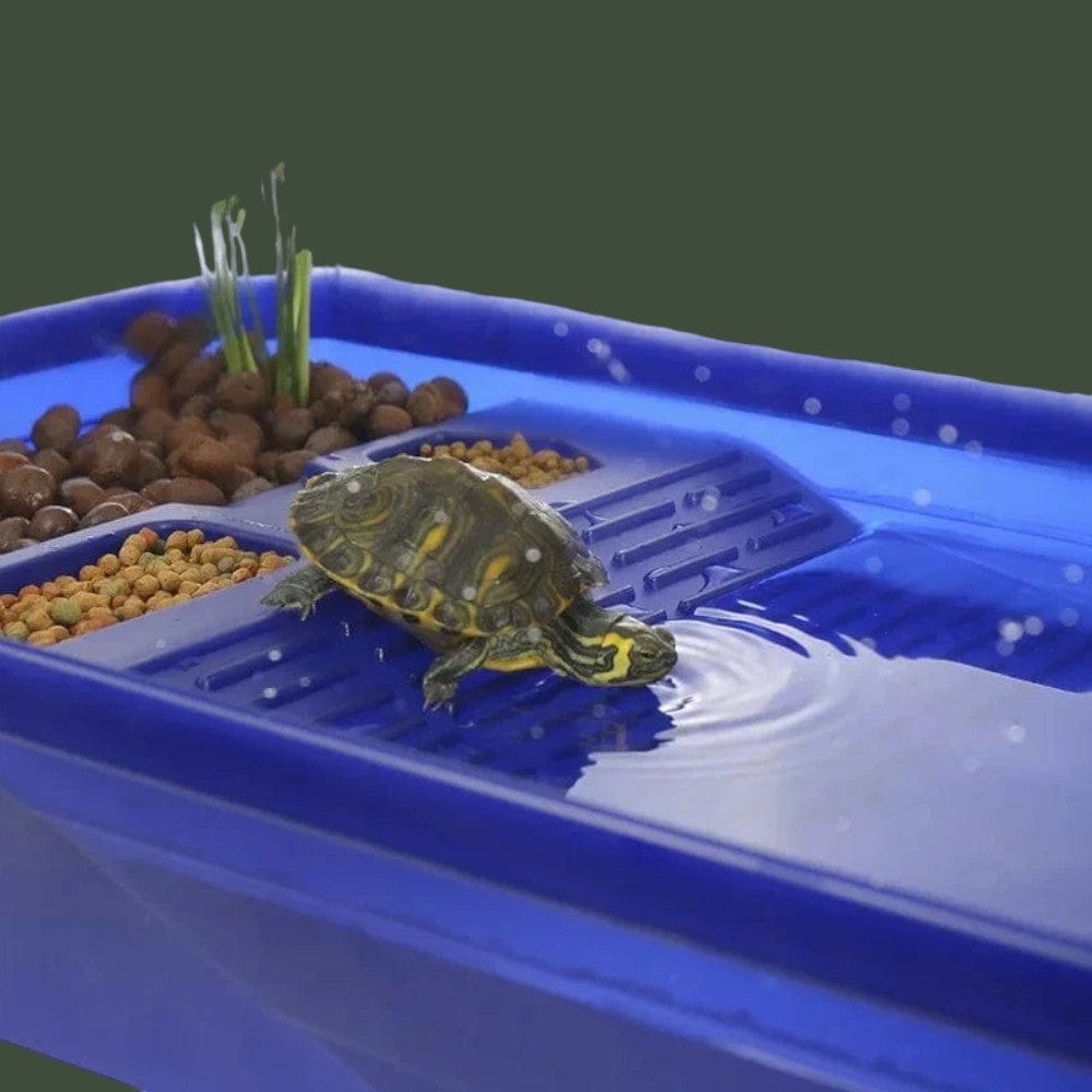 Aquarium à Tortue Terranys