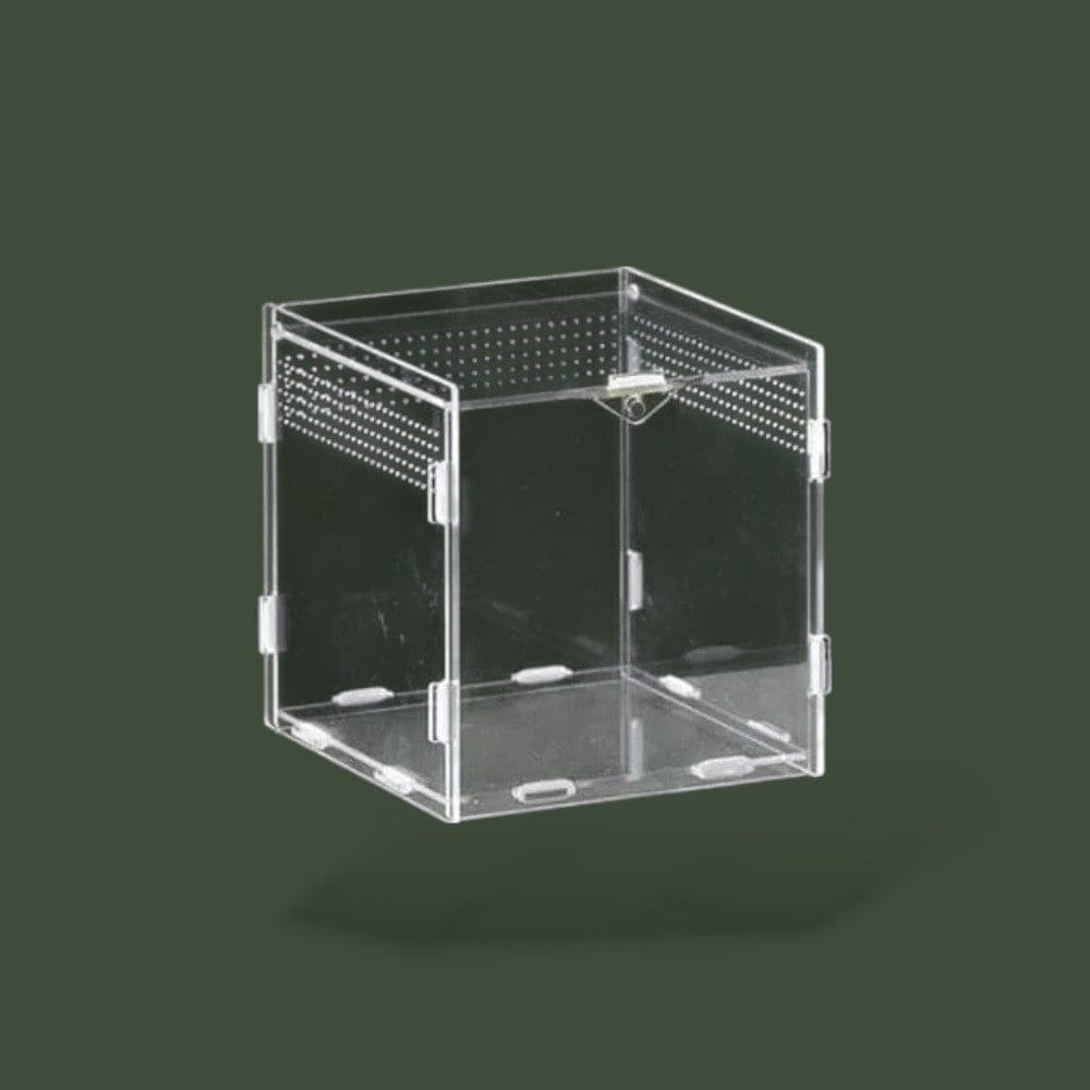 Boite en Plastique Terranys