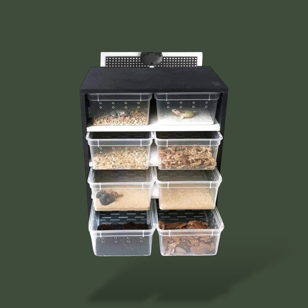 Boite Plastique Insecte Terranys