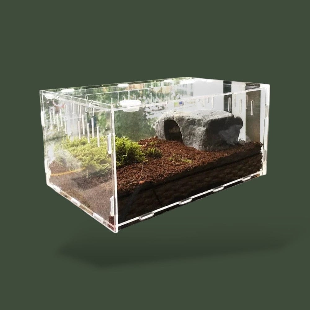 Boite Plastique Reptile Terranys