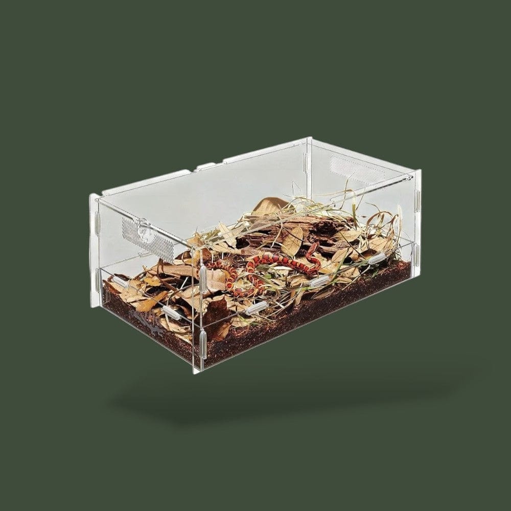 Boite pour Gecko Terranys