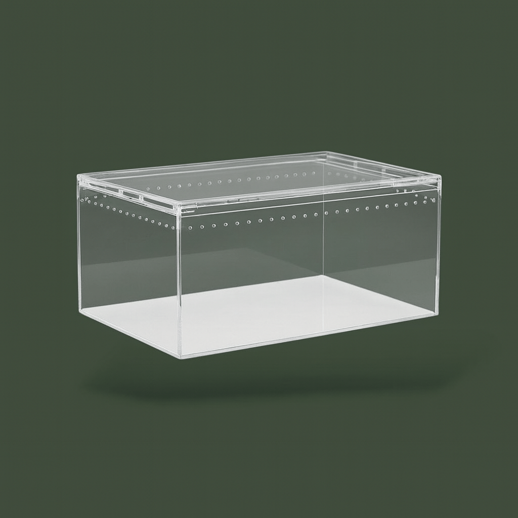 Boite terrarium a araignée | Terranys Terranys