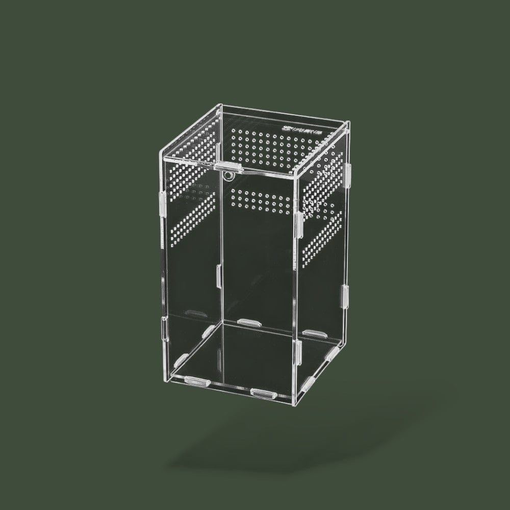 Boite Transparente Reptile Terranys