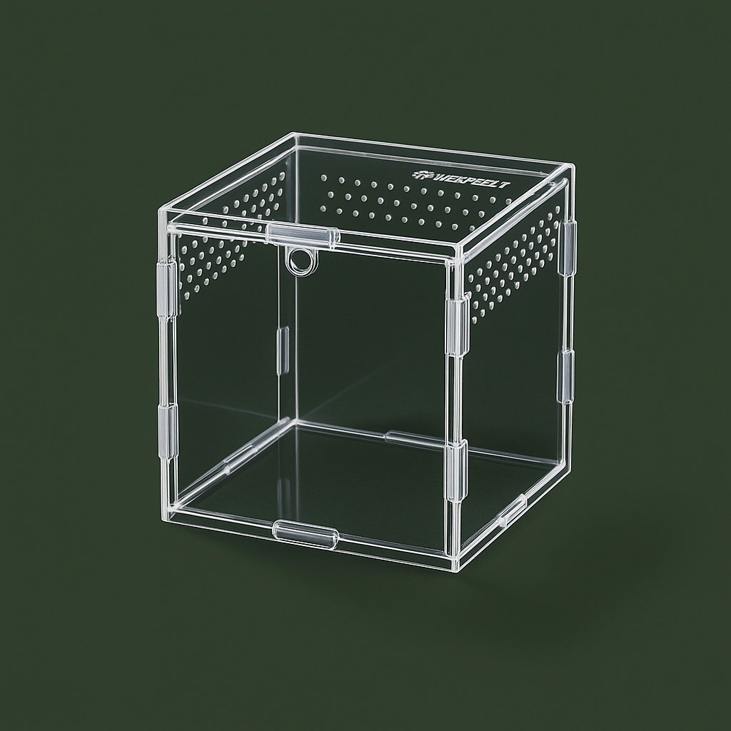 Boite ventilée pour Araignée | Terranys Terranys