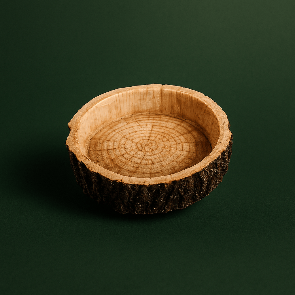 Bol Alimentaire pour Tortues | Terranys Terranys