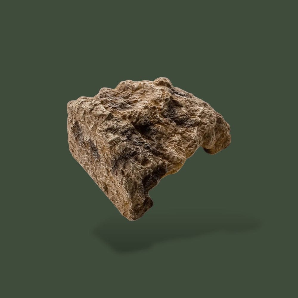 Cachette pour Tortue Terranys