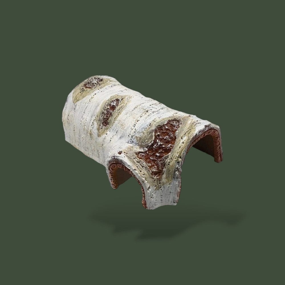 Cachette Reptile | Bois Terranys