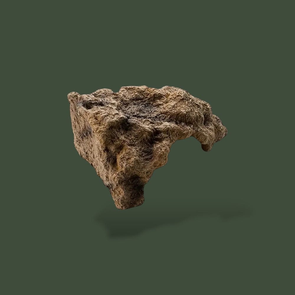 Déco Terrarium | Tronc De Liège Terranys