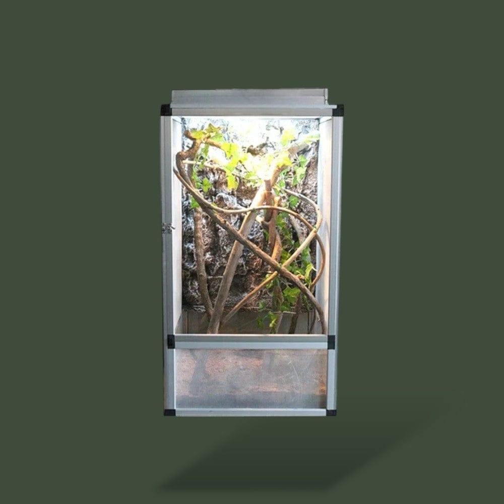 Grande Cage | Reptile Terranys