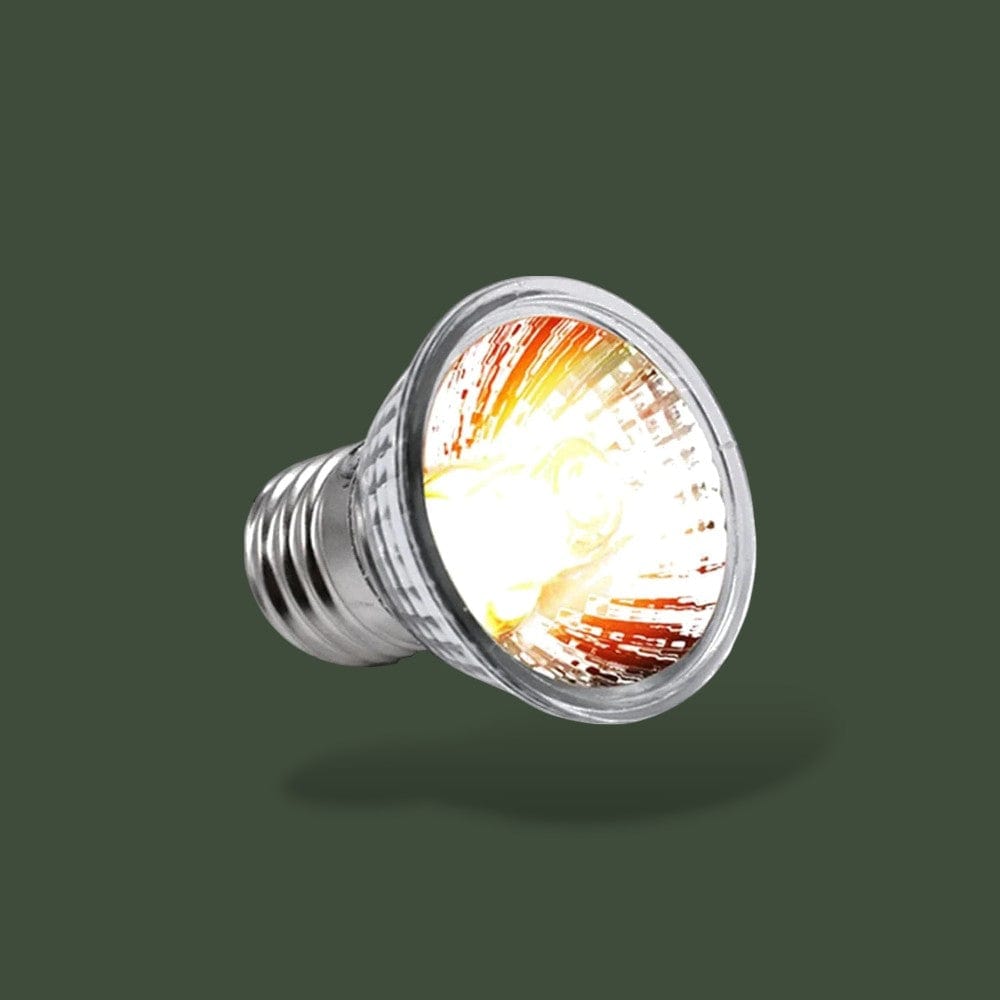 Lampe Chauffante et UV Pour Tortue Terranys