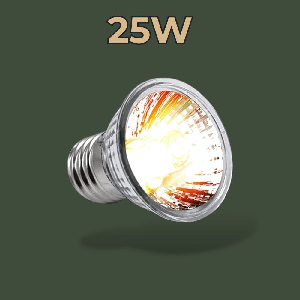 Lampe Chauffante et UV | Tortue Terranys