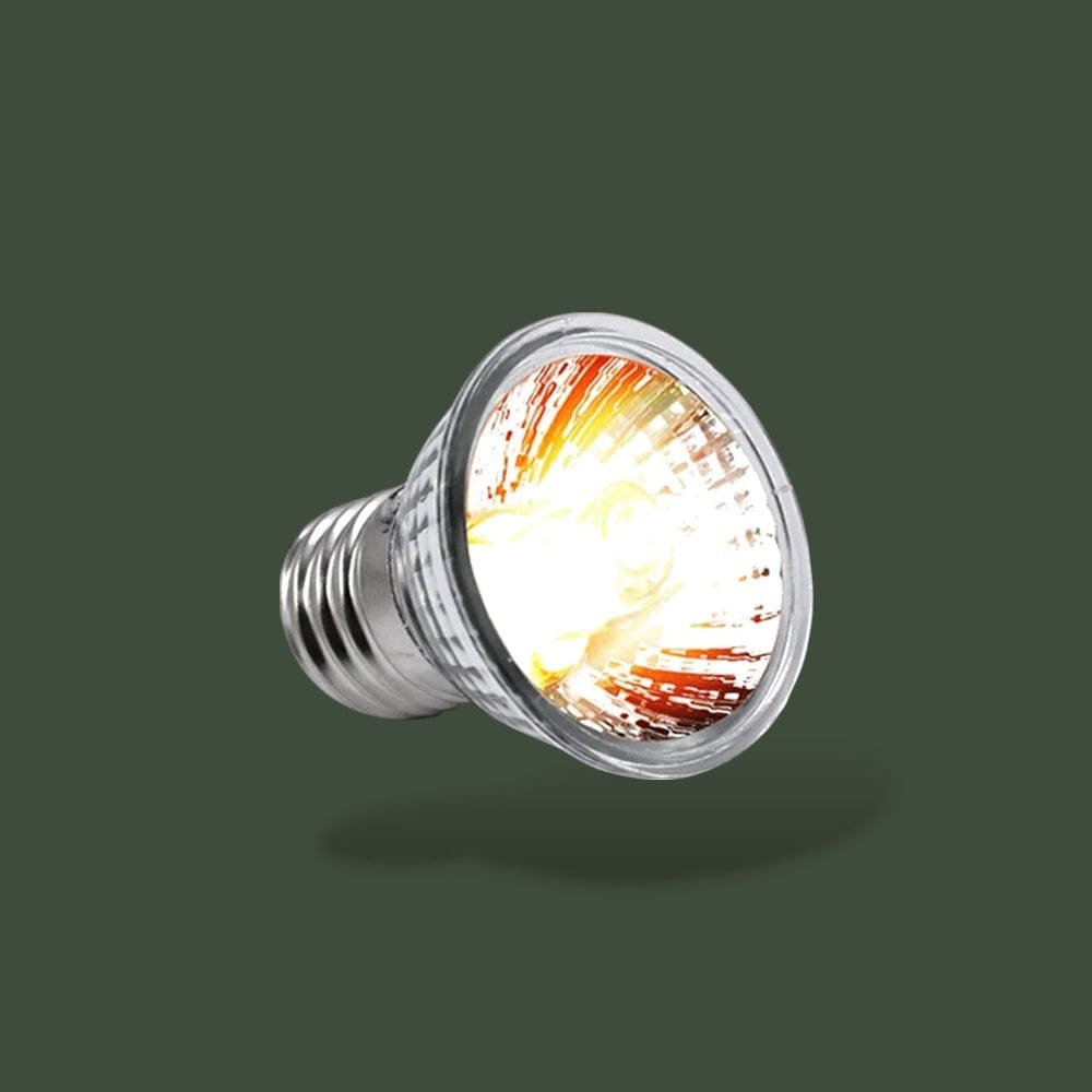 Lampe Chauffante et UVB Pour Tortue Terranys