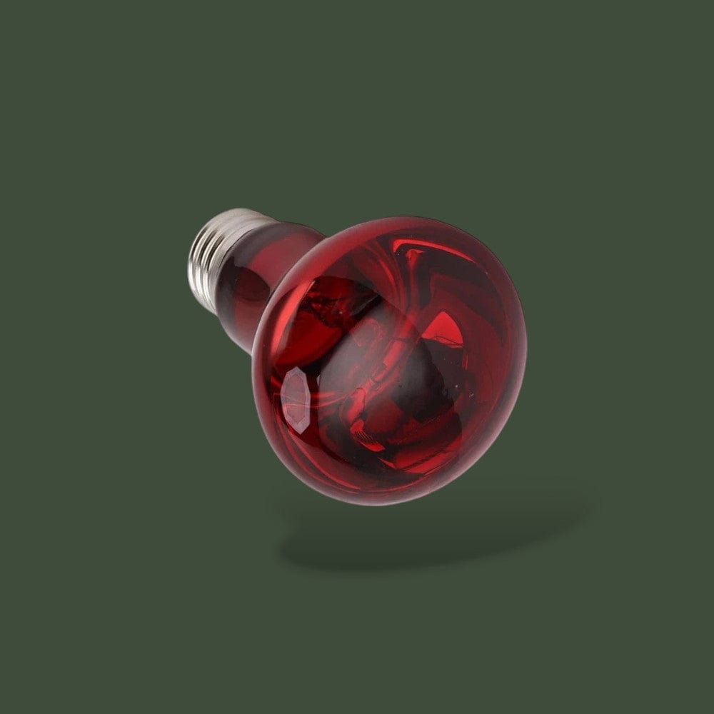 Lampe Chauffante Infrarouge | Terrarium Terranys