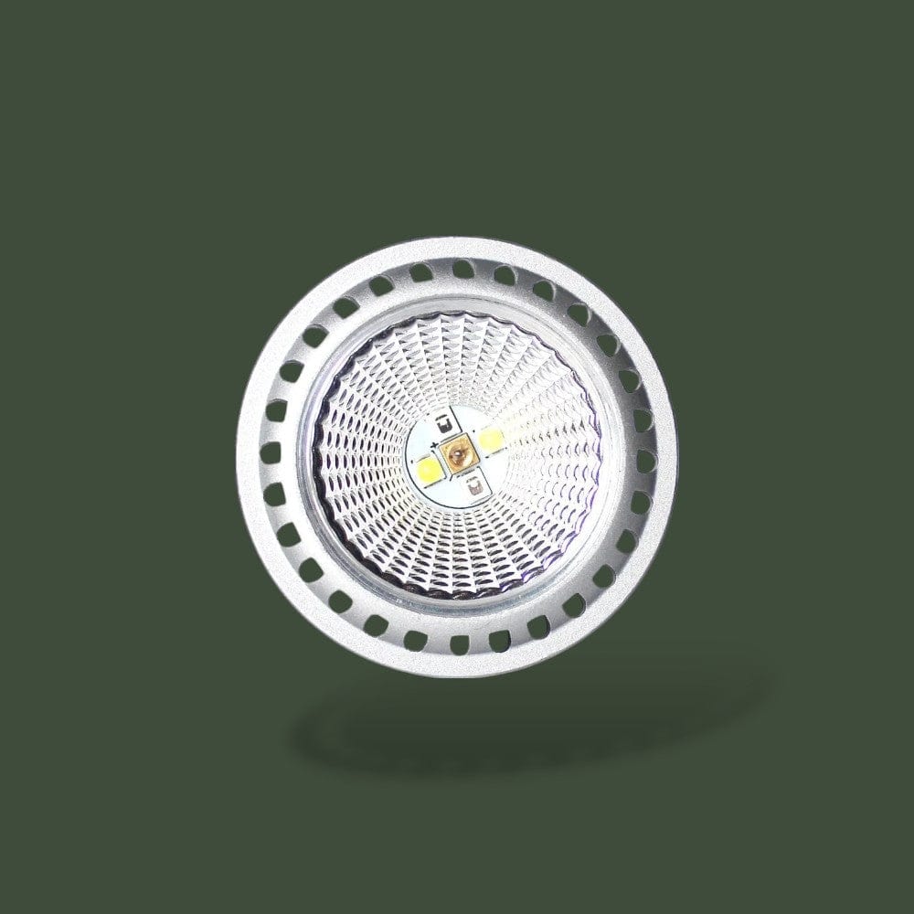 Lampe Chauffante LED | Terrarium Terranys