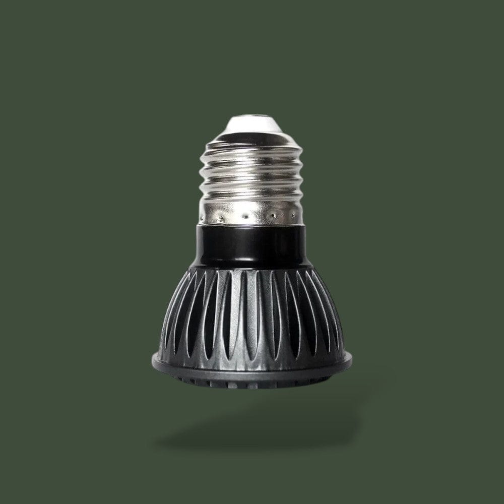 Lampe Chauffante pour Tortue Terranys