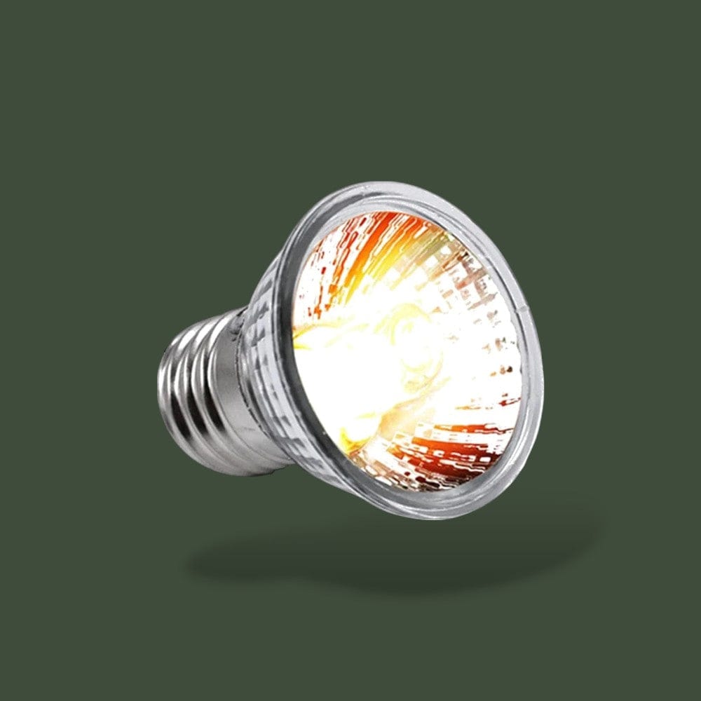 Lampe Chauffante | Tortue Terrestre Terranys