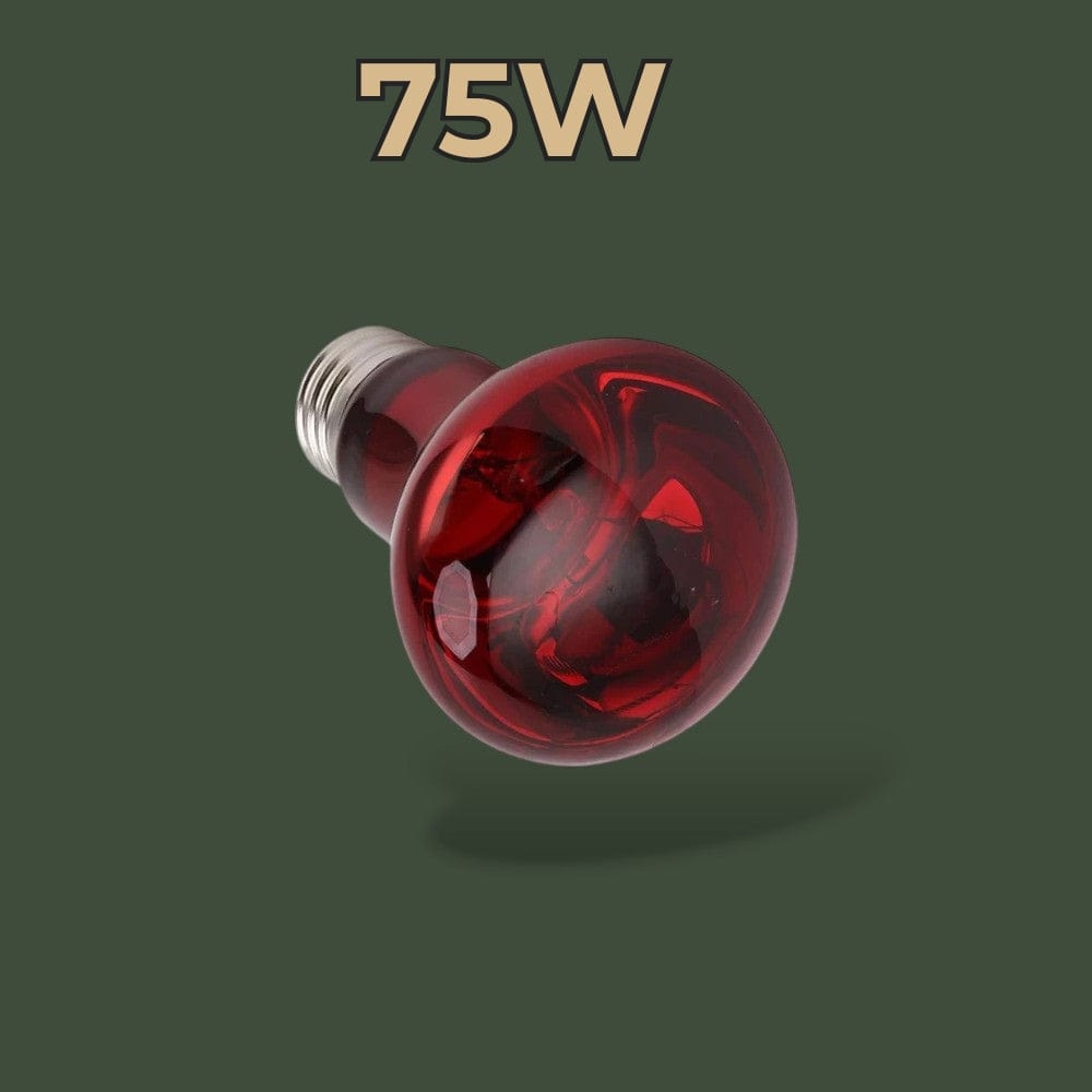 Lampe Infrarouge Chauffante pour Terrarium Terranys