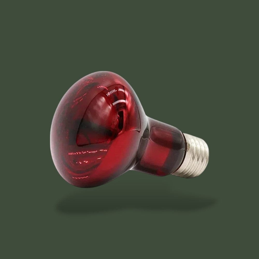 Lampe Infrarouge Chauffante pour Terrarium Terranys