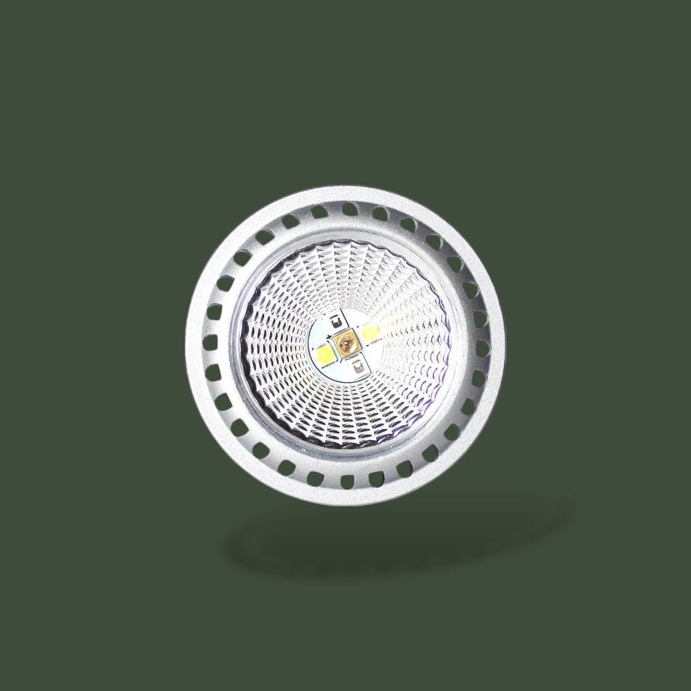 Lampe UV et Chauffante pour Tortue Terrestre Terranys