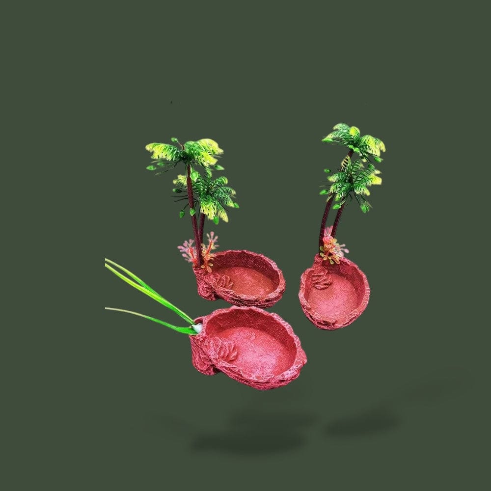 Mangeoire | Aquarium Terranys