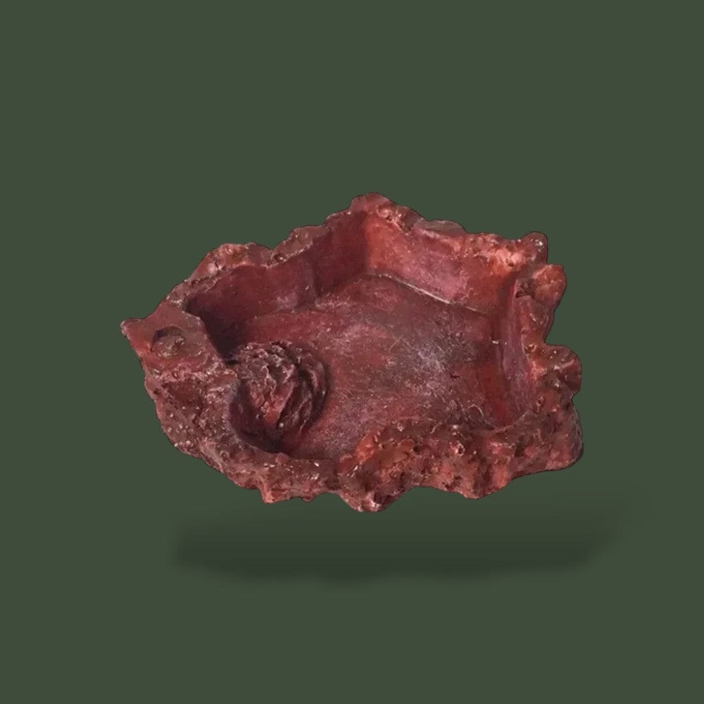 Mangeoire pour Tortue Terranys