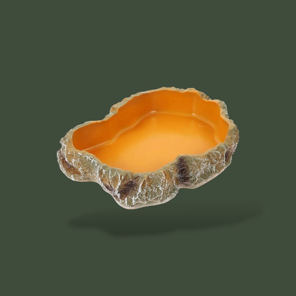 Mangeoire | Terrarium Terranys