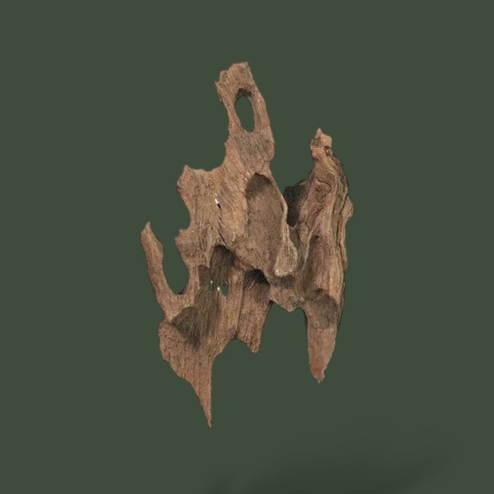 Morceau de Bois | Décoratifs Terranys