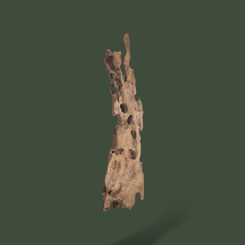Morceau de Bois Terranys