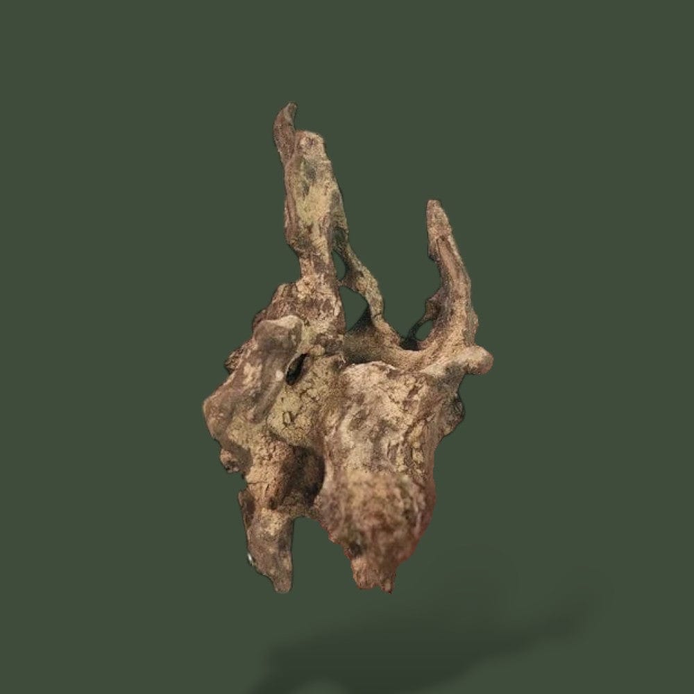 Petit Morceau de Bois Terranys