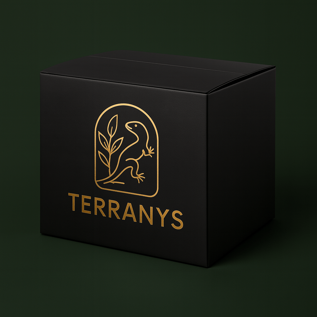 Pompe Brumisateur Terrarium | Terranys Terranys