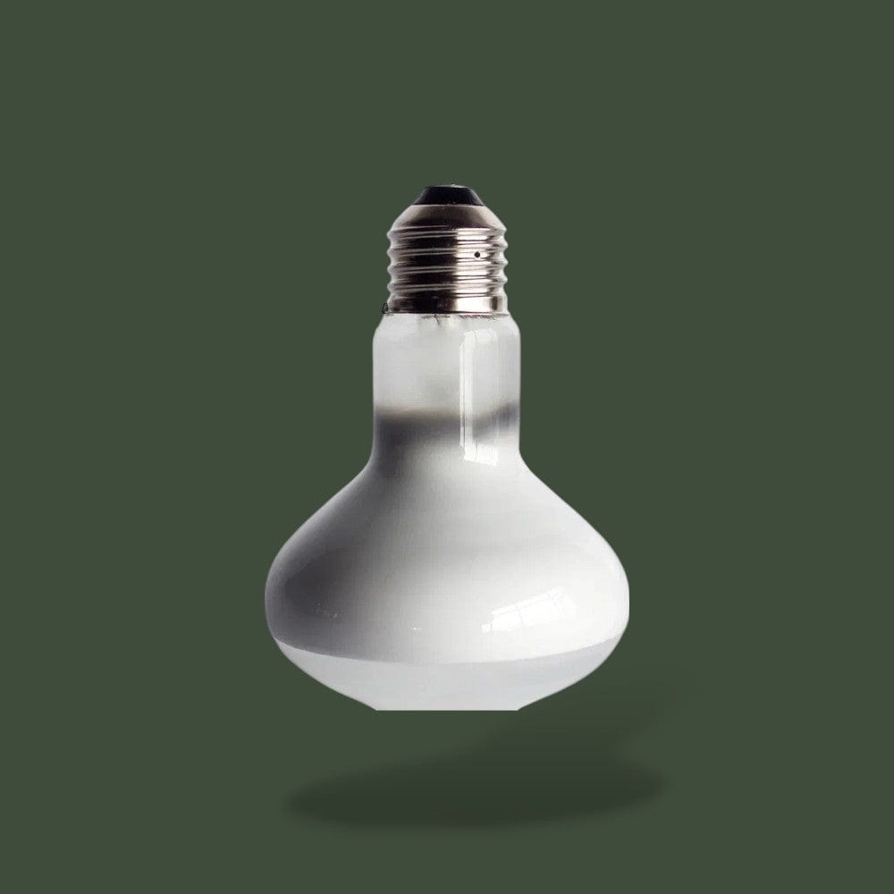 Terrarium Ampoule Chauffante Terranys