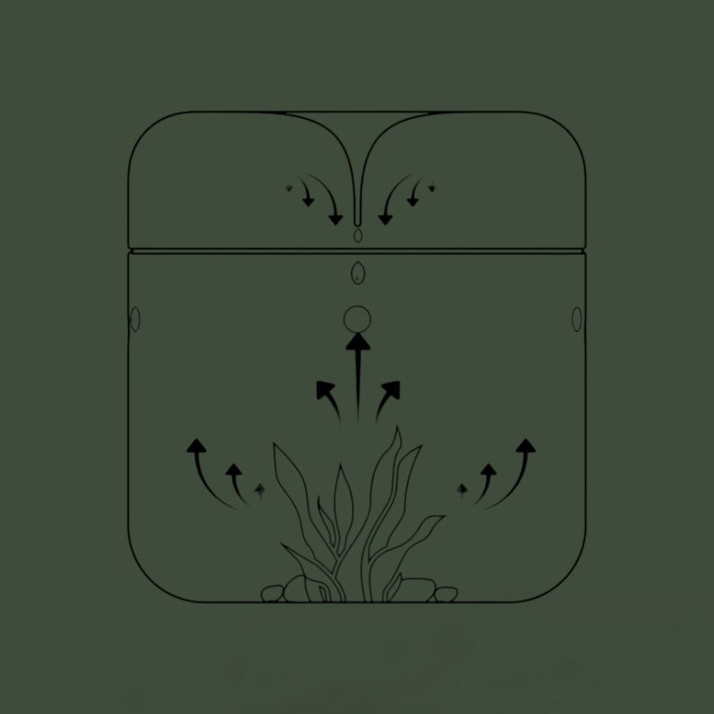 Terrarium Plante Bocal Terranys