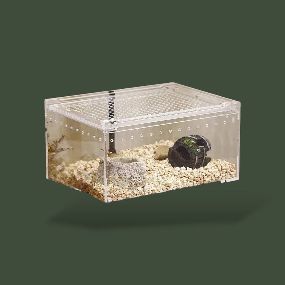 Terrarium pour Serpent Terranys