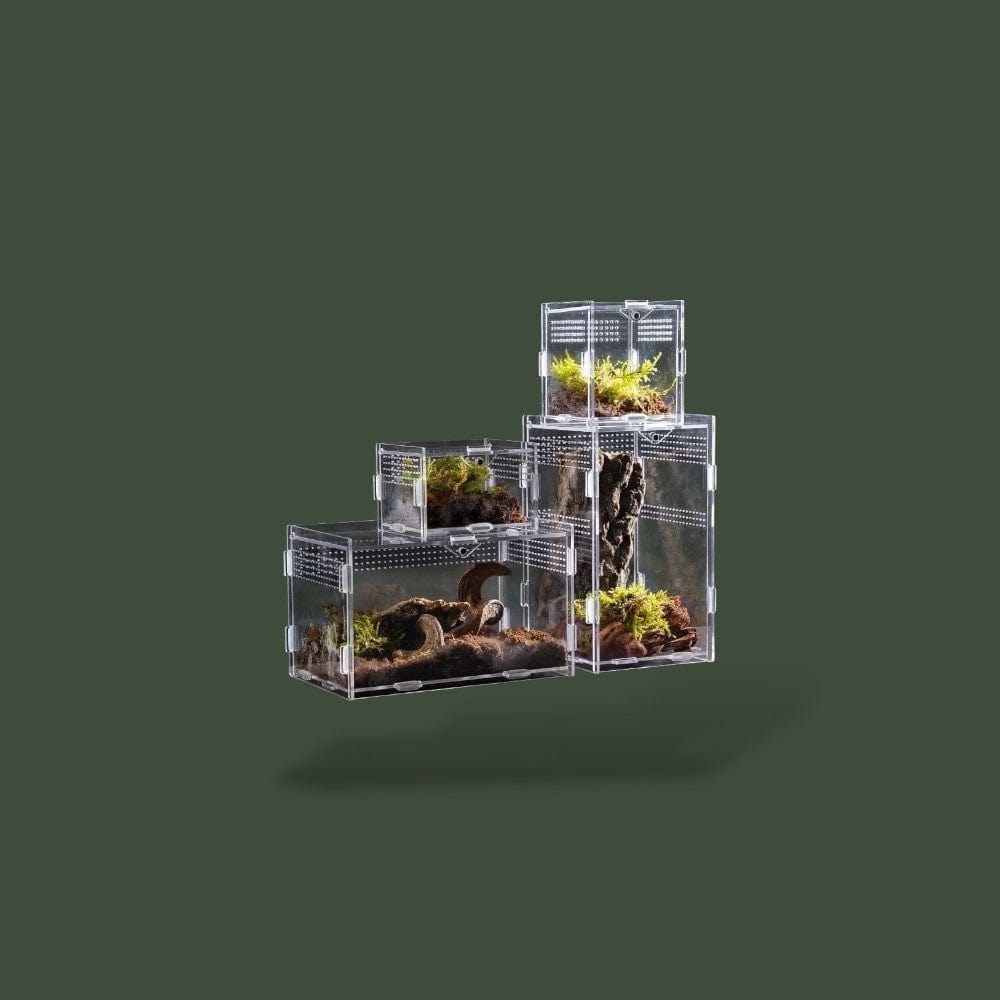 Terrarium Reptile Habitat Terranys