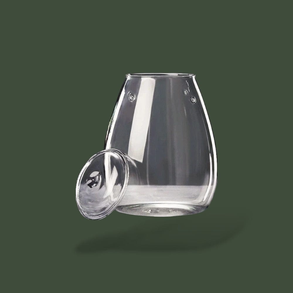 Vase a terrarium Terranys