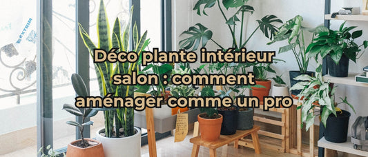 Déco plante intérieur salon