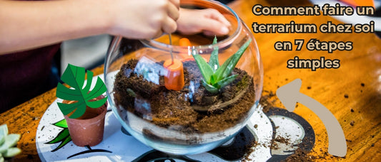 comment faire un terrarium