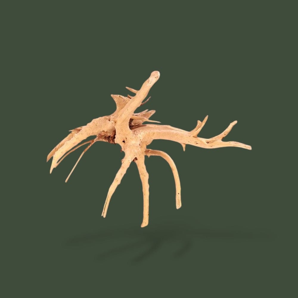 Accessoire Reptiles | Bois Terranys