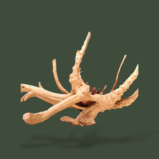 Accessoire Reptiles | Bois Terranys