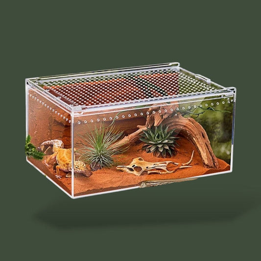 Aération Boite Animaux Terranys
