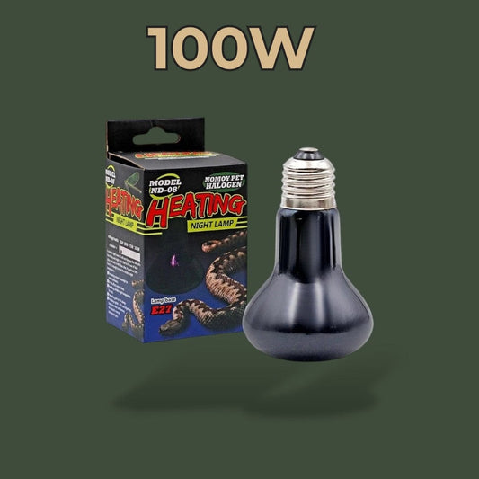 Ampoule Céramique Chauffante | Reptile Terranys