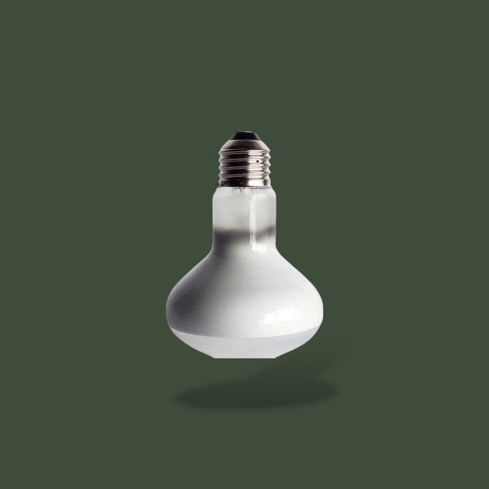 Ampoule Chauffante Économique | Terrarium  Terranys