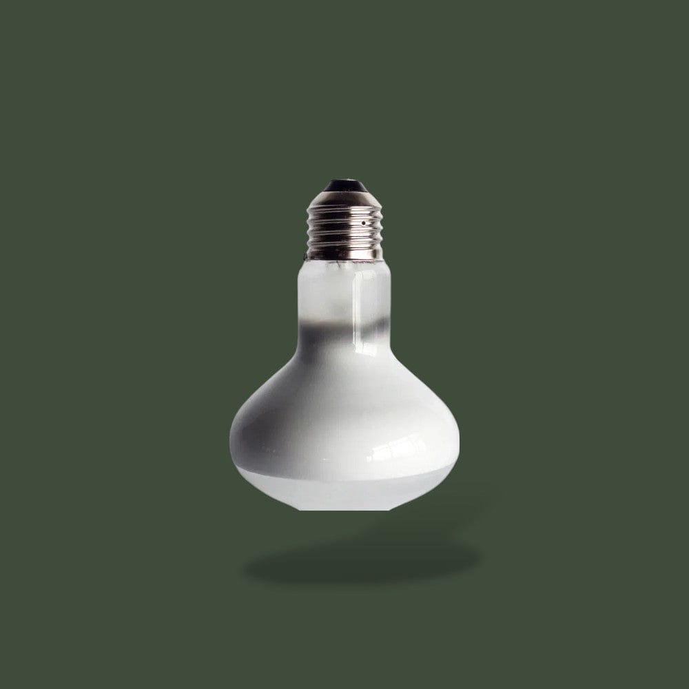 Ampoule Chauffante pour Terrarium Terranys