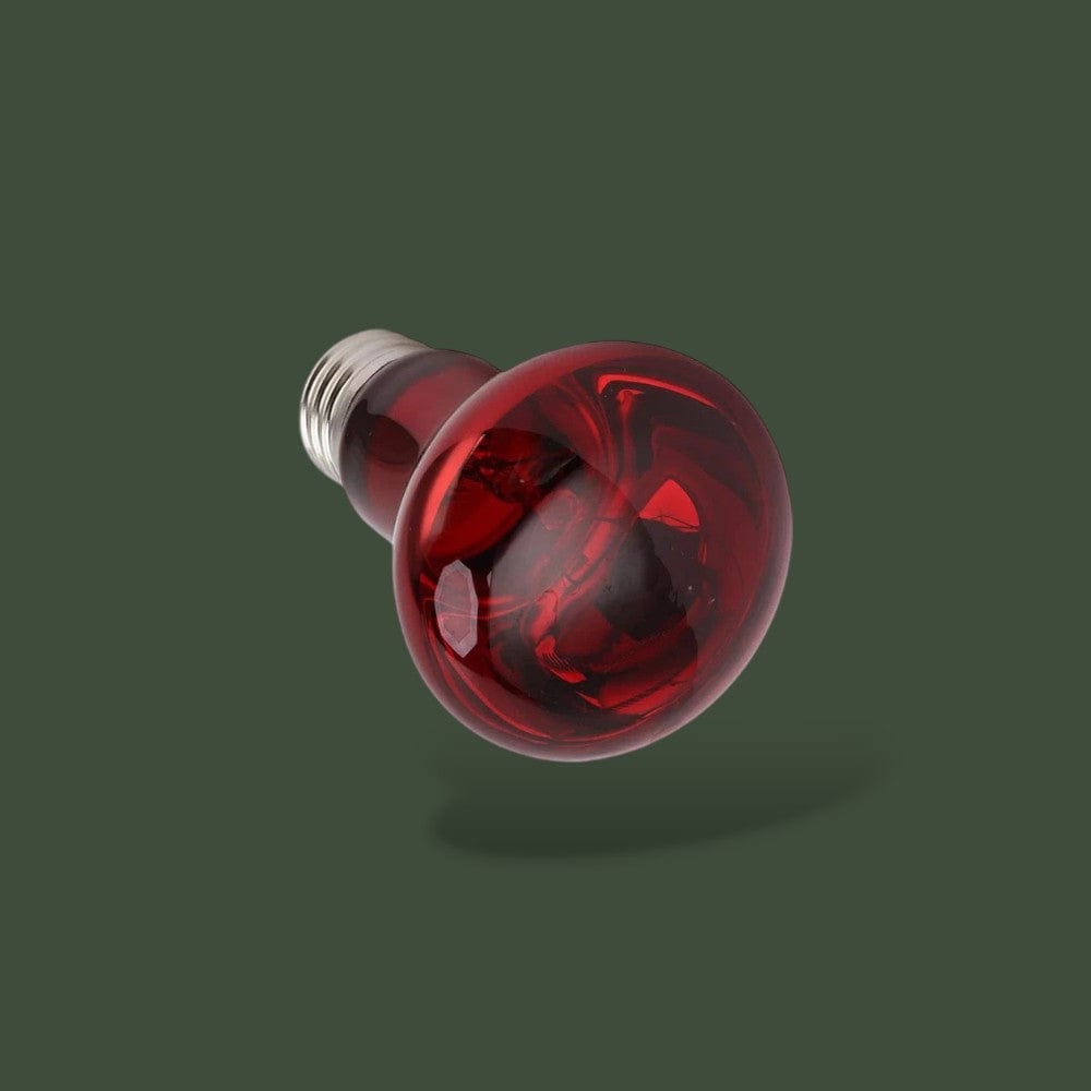 Ampoule Chauffante | Rouge Terranys