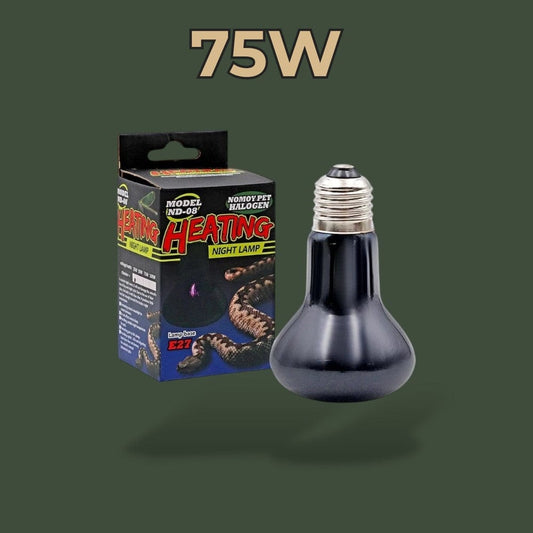 Ampoule Lampe Chauffante | Reptile Terranys