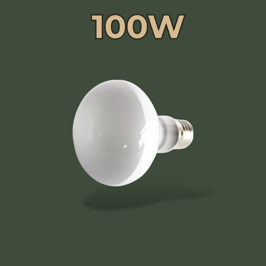 Ampoule Lampe Chauffante | Terrarium Terranys