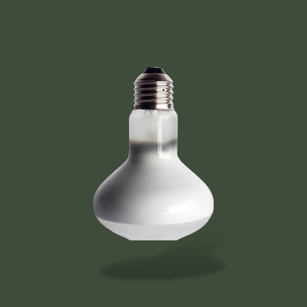 Ampoule Lampe Chauffante | Terrarium Terranys