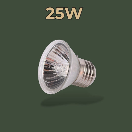 Ampoule Lampe Chauffante Terrarium | Tortue Terranys