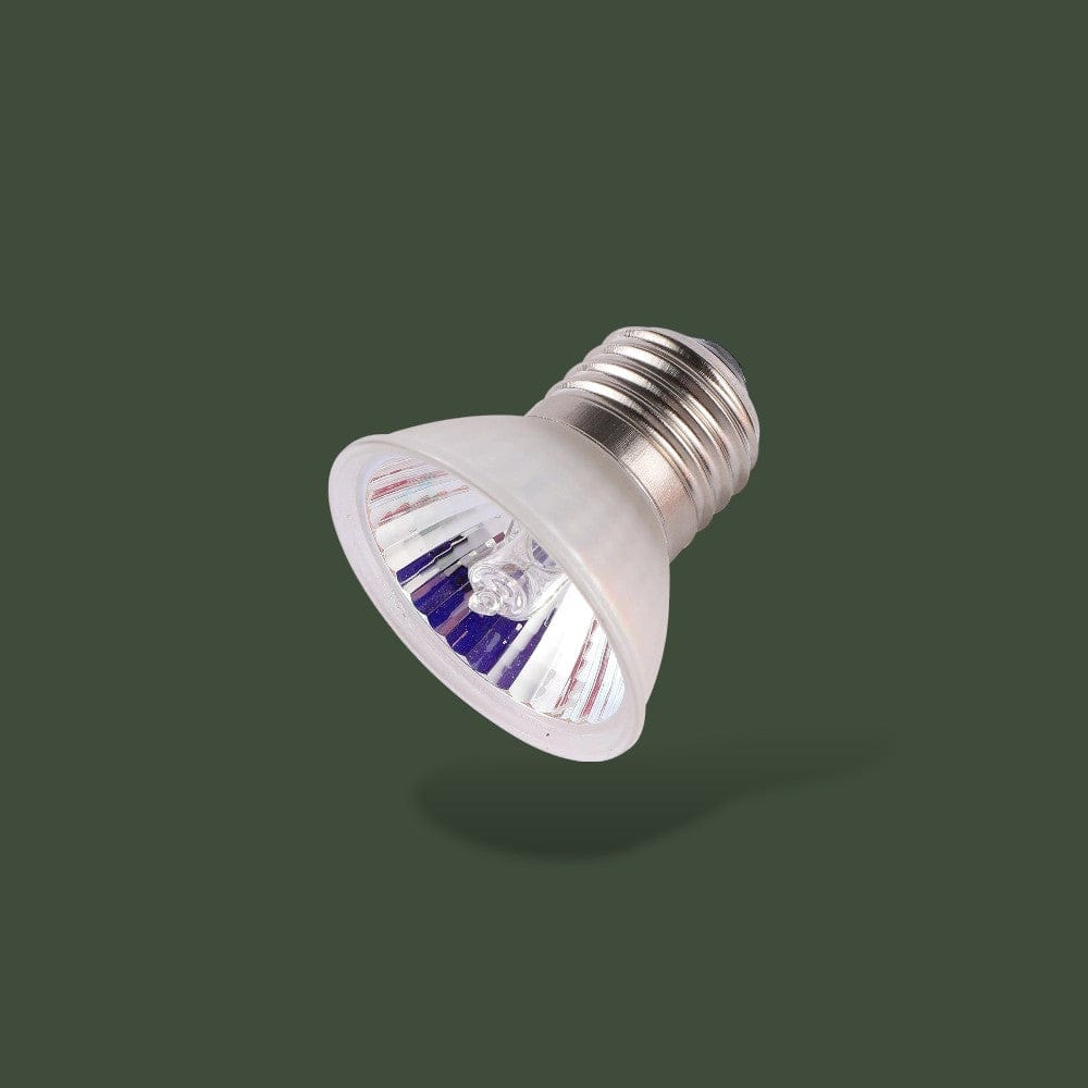 Ampoule Lampe Chauffante Terrarium | Tortue Terranys